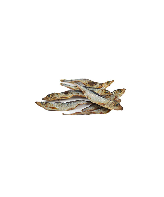 Sprotte 100g